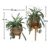 ต้นเศรษฐีเรือนนอกปลอมต้นไม้ประดิษฐ์กระถางเบลล่า Artificial Bella Potted Plant