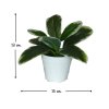 ต้นไม้ปลอมขนาดเล็กกระถางพลาสติกสีขาว 3 นิ้ว Small artificial plant