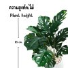 ต้นมอนสเตอร่าปลอมขนาดใหญ่เหมือนจริง | Artificial / Fake Monstera Plant