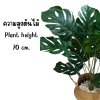 ต้นมอนสเตอร่าปลอมขนาดใหญ่เหมือนจริง Artificial / Fake Monstera plantket, wooden stand