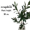 ต้นมะกอกโอลีฟปลอมประดิษฐ์ Artificial / Fake Olive Tree