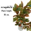 ต้นโกสนปลอมต้นไม้ประดิษฐ์ Artificial / Fake Croton Tree