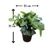 ต้นไม้ปลอมต้นไม้ประดิษฐ์ใบสวยกระถาง4นิ้ว Artificial plant, beautiful realistic leaves
