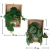ต้นไม้เลื้อยปลอมประดิษฐ์บนกรอบไม้ artificial vine mounted on a wooden frame