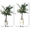 ต้นมะกอกโอลีฟต้นไม้ปลอมต้นไม้ประดิษฐ์ขนาดใหญ่เหมือนจริง Artificial / Fake Olive Tree