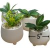 ต้นไม้ปลอมขนาดเล็กกระถาง 5" Small artificial plant with a 5-inch clay pot.