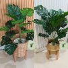 ต้นมอนสเตอร่าปลอมขนาดใหญ่เหมือนจริง Artificial / Fake Monstera plantket, wooden stand