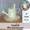 บัวรดน้ำจิ๋วตกแต่งบ้านแต่งสวนแต่งร้าน Small watering can