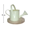 บัวรดน้ำจิ๋วตกแต่งบ้านแต่งสวนแต่งร้าน Small watering can