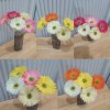 ช่อดอกเยอบีร่าปลอมดอกไม้ประดิษฐ์ 5 ดอก Artificial Gerbera Flower