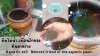 ดินไม้น้ำ…เพื่อนรักของต้นสาหร่าย aquatic soil :: the beloved friend of seaweed. ดินไม้น้ำ…เพื่อนรักของต้นสาหร่าย aquatic soil :: the beloved friend of seaweed.