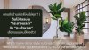ตกแต่งบ้านสไตล์ไหนใช่คุณ? | “กระถางเบลล่า” กับ “ตะกร้าหวาย” What style of home decor suits you? | &quot;Bella Pot&quot; and &quot;Wicker Basket&quot;