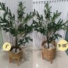 ต้นมะกอกโอลีฟปลอมประดิษฐ์ Artificial / Fake Olive Tree