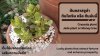 ต้นคลาสซูล่า หรือ ต้นใบเงิน: ต้นไม้มงคลเรียกโชค เสริมความมั่งคั่ง Crassula plant or Money plant: A lucky plant that attracts fortune and enhances wealth. ต้นคลาสซูล่า หรือ ต้นใบเงิน: ต้นไม้มงคลเรียกโชค เสริมความมั่งคั่ง Crassula plant or Money plant: A lucky plant that attracts fortune and enhances wealth.