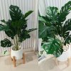 ต้นมอนสเตอร่าปลอมขนาดใหญ่เหมือนจริง | Artificial / Fake Monstera Plant