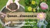 ปุ๋ยคอกช่วยดอกสวย Manure helps flowers bloom beautifully