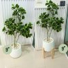 ต้นหัวใจเศรษฐี (สาริกาด่าง) ต้นไม้ปลอมประดิษฐ์กระถางเบลล่า 9 นิ้ว Artificial Mistletoe Fig