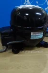 คอมตู้เย็น DD57C10RAW5