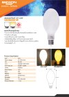 หลอดแสงจันทร์ LED ขนาด 65 วัตต์ Bewon