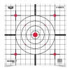 Birchwood Casey EZE Scorer 12 inch Sight In Paper Target (13 แผ่น)