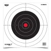 Birchwood Casey EZE-SCORER Paper Targets,12" Round Bull’s-Eye,13 Targets