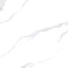 LKF1G 2019468