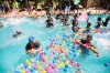 2015 PAS 409 &amp; AMPS OUTING