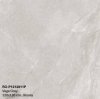 Vega grey 120x120 cm (Glossy) - 5 pattern