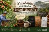 กาแฟพิเศษและการคืนชีพโรบัสต้า-ลิเบอริก้าของหนองบอนกาแฟดี กาแฟพิเศษและการคืนชีพโรบัสต้า-ลิเบอริก้าของหนองบอนกาแฟดี