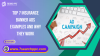 Insurance Banner Ads