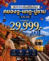 สัมผัสความงดงามแห่งใบไม้เปลี่ยนสีที่เกาหลีใต้! คยองจู-แทกู-ปูซาน 6วัน 4คืน