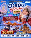 ฮาร์บิน–คฤหาสน์วอลก้า–หมู่บ้านหิมะ 6 วัน 4 คืน