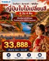 พาไปสัมผัสญี่ปุ่นในฤดูที่โรแมนติกที่สุด เที่ยวครบ 3 เมือง โตเกียว • อิบารากิ • ฟุกุชิมะ 6 วัน 4 คืน