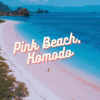 ชายหาดสีชมพู 1 ใน 7 สิ่งมหัศจรรย์ของโลก ชายหาดสีชมพู 1 ใน 7 สิ่งมหัศจรรย์ของโลก