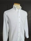 ETON - Royal Oxford OCBD - M (Asia)