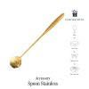 Accessory Spoon Stainless