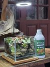 mini Paludarium mini Paludarium