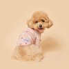 FLOT CHERRY T-SHIRT เสื้อผ้าสัตว์เลี้ยง หมา แมว