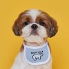 FLOT ANIMAL DAILYBIB เสื้อผ้าสัตว์เลี้ยง หมา แมว