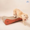 Furry Good Time Big Bone Cat Scratcher ที่ลับเล็บแมวทรงกระดูก