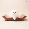Furry Good Time Skateboard Cat Scratcher ที่ลับเล็บแมวสเก็ตบอร์ด