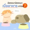 น้องหมาน้องแมวเบื่ออาหารทำไงดี? น้องหมาน้องแมวเบื่ออาหารทำไงดี?
