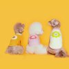 FLOT FLOWERDOG T-SHIRT เสื้อผ้าสัตว์เลี้ยง หมา แมว