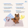 AVANTPET Premium Cooling Band ปลอกคอเจลเย็นสำหรับสัตว์เลี้ยง