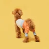 FLOT COOKIE JOGGER PANTS เสื้อผ้าสัตว์เลี้ยง หมา แมว
