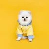 FLOT BETTERLIFE BEAR HOODIE LEMONBEAR เสื้อผ้าสัตว์เลี้ยง หมา แมว