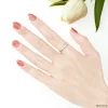 รูปมือ WD550 แหวนเกลี้ยงแรขนแมว
