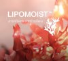 สารสกัดจากสาหร่ายสีแดง (LIPOMOIST™) : Moisturizing Active สารสกัดจากสาหร่ายสีแดง (LIPOMOIST™) : Moisturizing Active