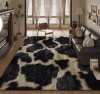 Modern Carpet 245