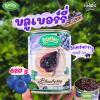 Osterberg ฟรุตท็อปปิ้ง & ฟิลลิ่ง บลูเบอร์รี่ 620g